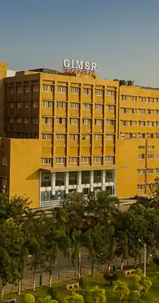 GIMSR